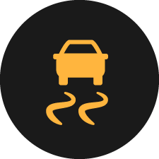 Опознай своя автомобил: Система за контрол на сцеплението (Traction control)