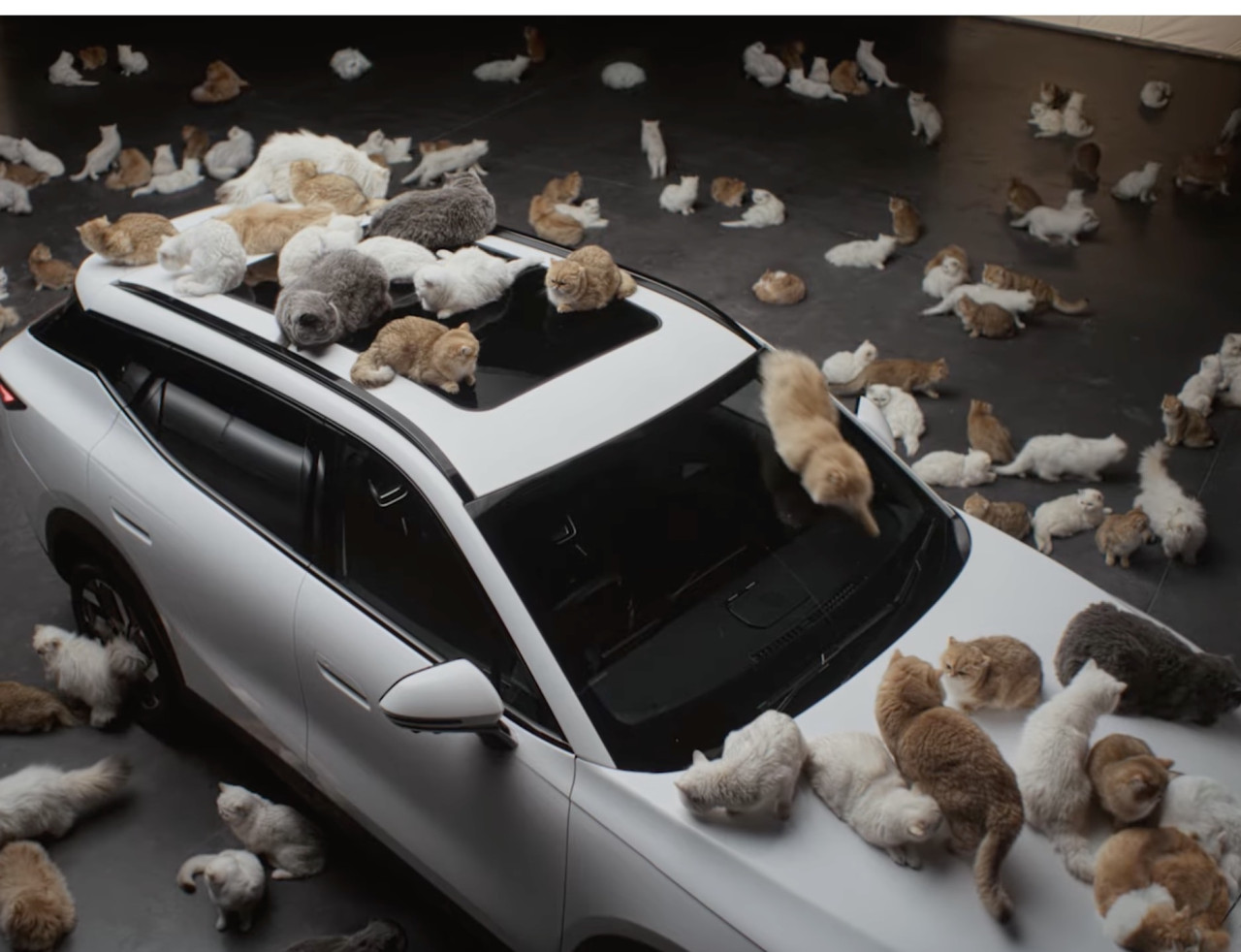 Десетки котки и нов SUV: Omoda 7 привлича погледите