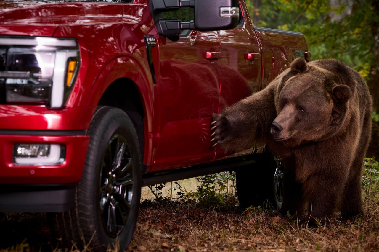 Ford подложи F-150 на тест с мечка и резултатът изненада