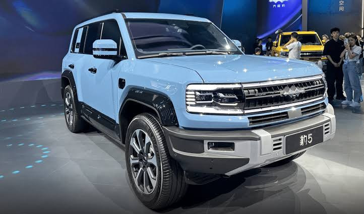 BYD Denza и Fang Cheng Bao влязоха в наводнения за помощ