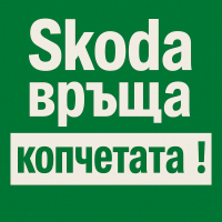 Skoda признава: хората имат нужда от бутони и контроли